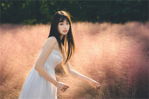 上海品茶网：A hidden oasis, Shanghai's Backyard is your sanctuary to escape the hustle and bustle of the city.